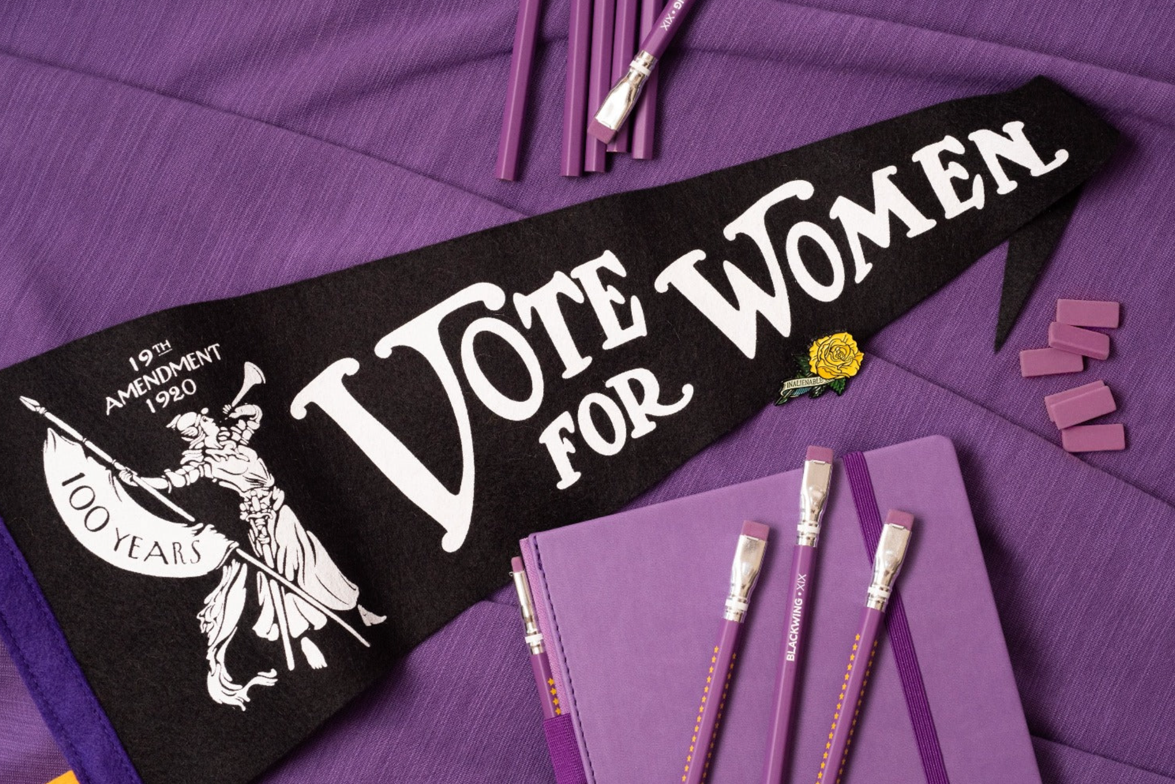 Blackwing_Volume_XIX_Set_of_12_Pencils_-_19th_Amendment_Tribute_Firm_Graphite_Purple.png