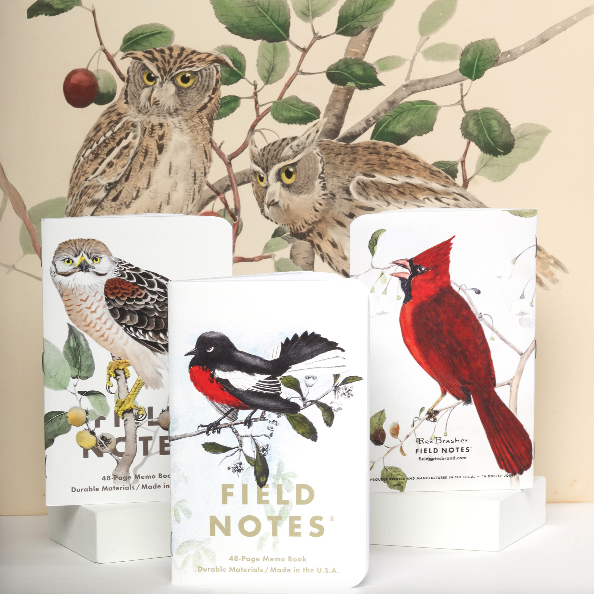 Field_Notes_Birds_and_Trees_of_North_America_Memo_Books_Set_of_3_Detail_3.png