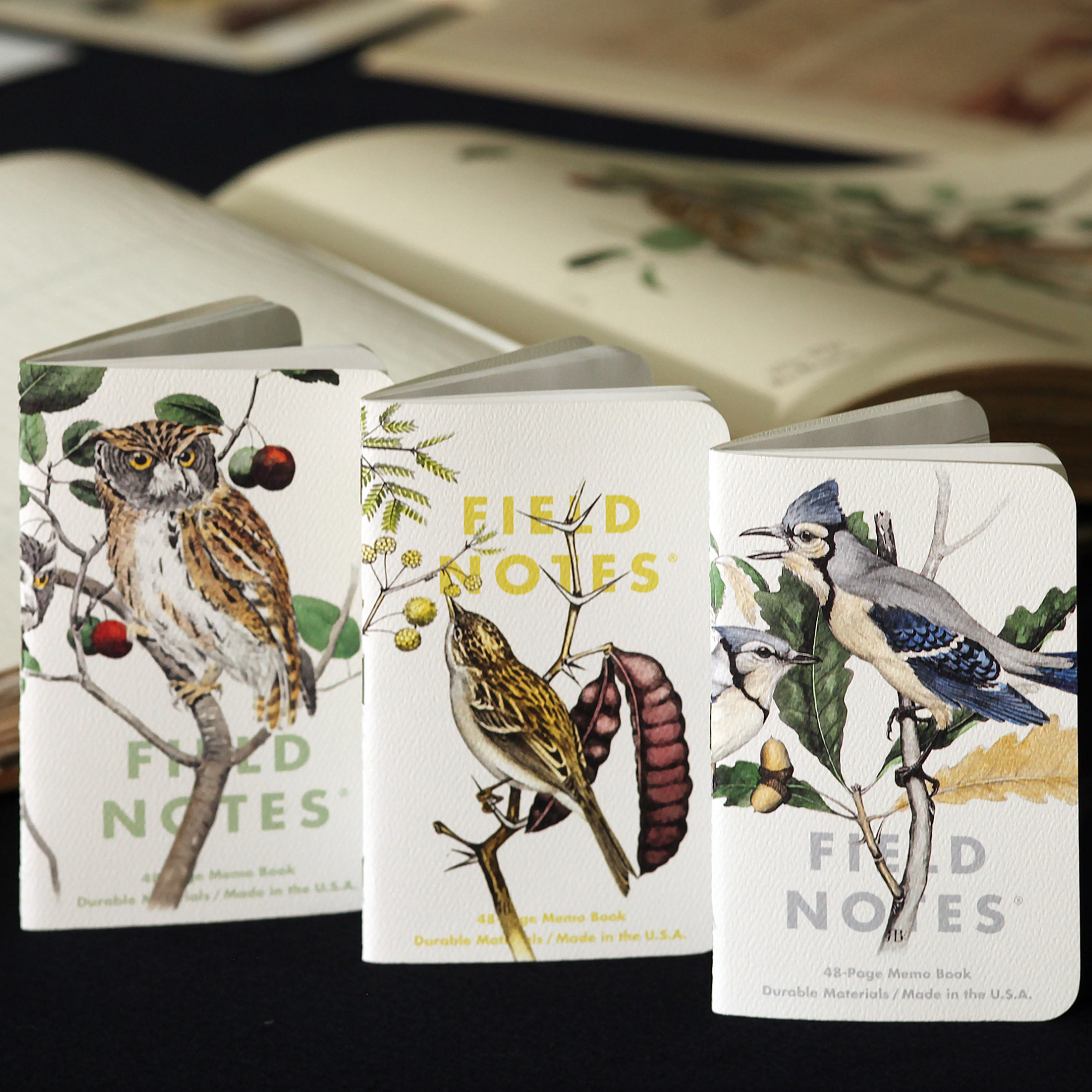 Field_Notes_Birds_and_Trees_of_North_America_Memo_Books_Set_of_3_Detail_4.png