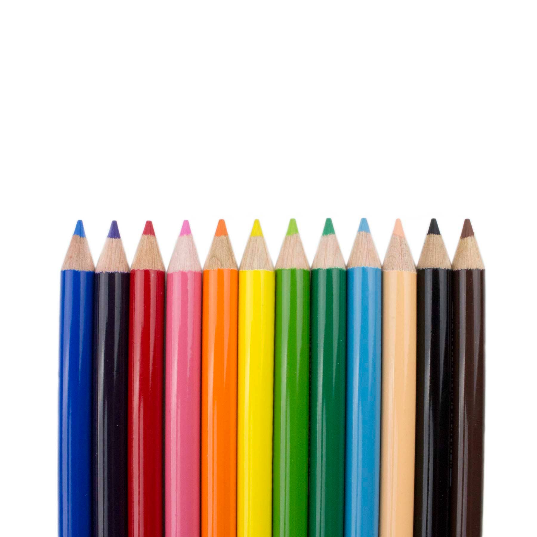Tombow_1500_Series_Colored_Pencils_Set_of_12_Detail.jpg